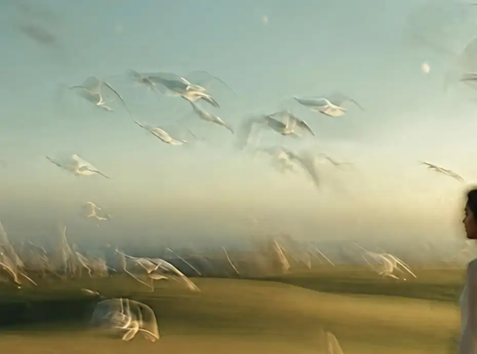 Woman walking through a field with birds in golden light